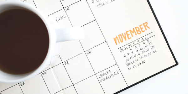 年間スケジュール